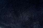 Kelig Area Rug